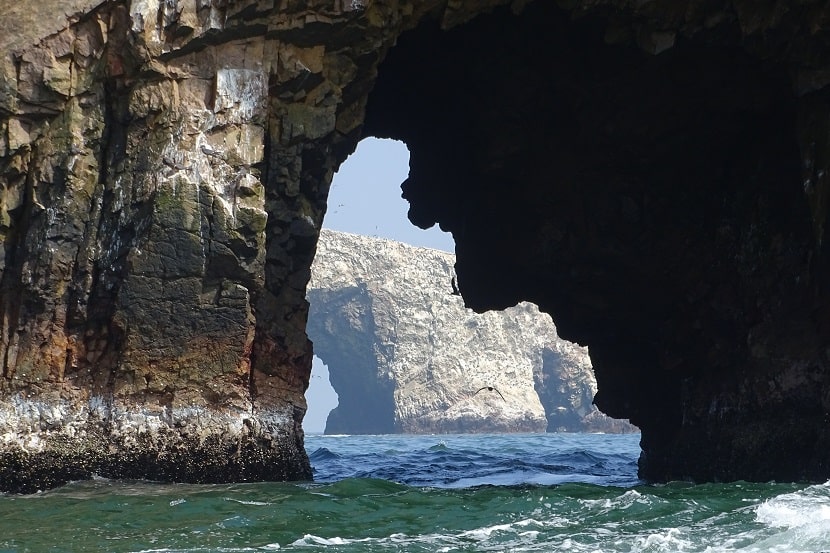 Ballestas islands, visiting them is one of the best things to do in Paracas