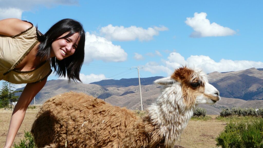 Me and a white and brown llama, in Cusco, in the middle of nature.