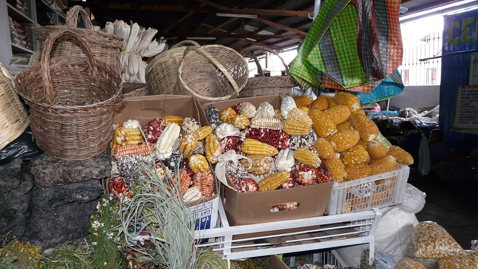 Different varieties of corn at the San Pedro Market