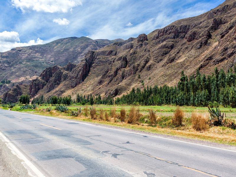 Roat at the Sacred Valley